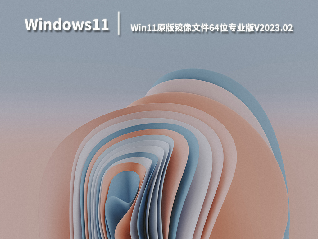 Win11原版镜像文件64位专业版.02