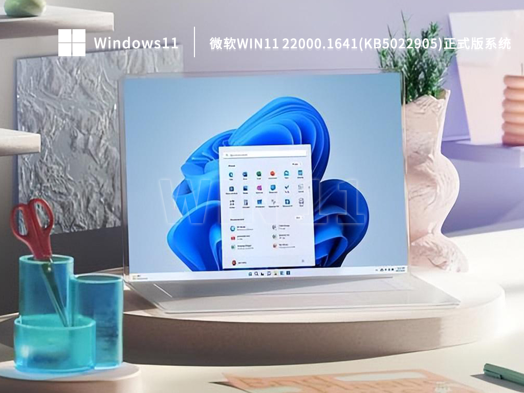 微软Win11 22000.1641(KB5022905)正式版系统  