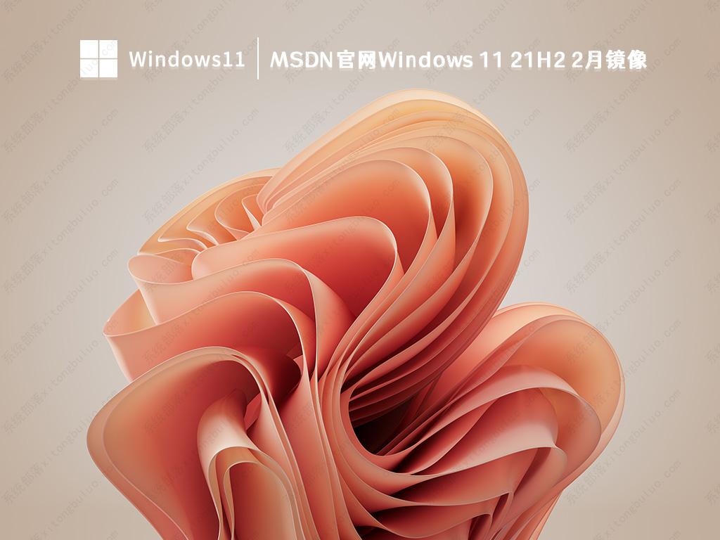 MSDN官网 Windows 11 21H2 2月镜像 