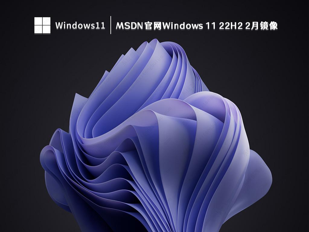 MSDN官网 Windows 11 22H2 2月镜像 V2023