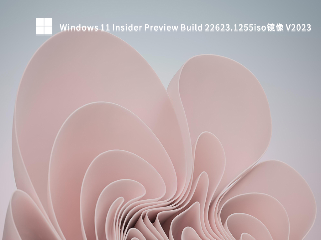 Windows 11 Insider Preview Build 22623.1255iso镜像 