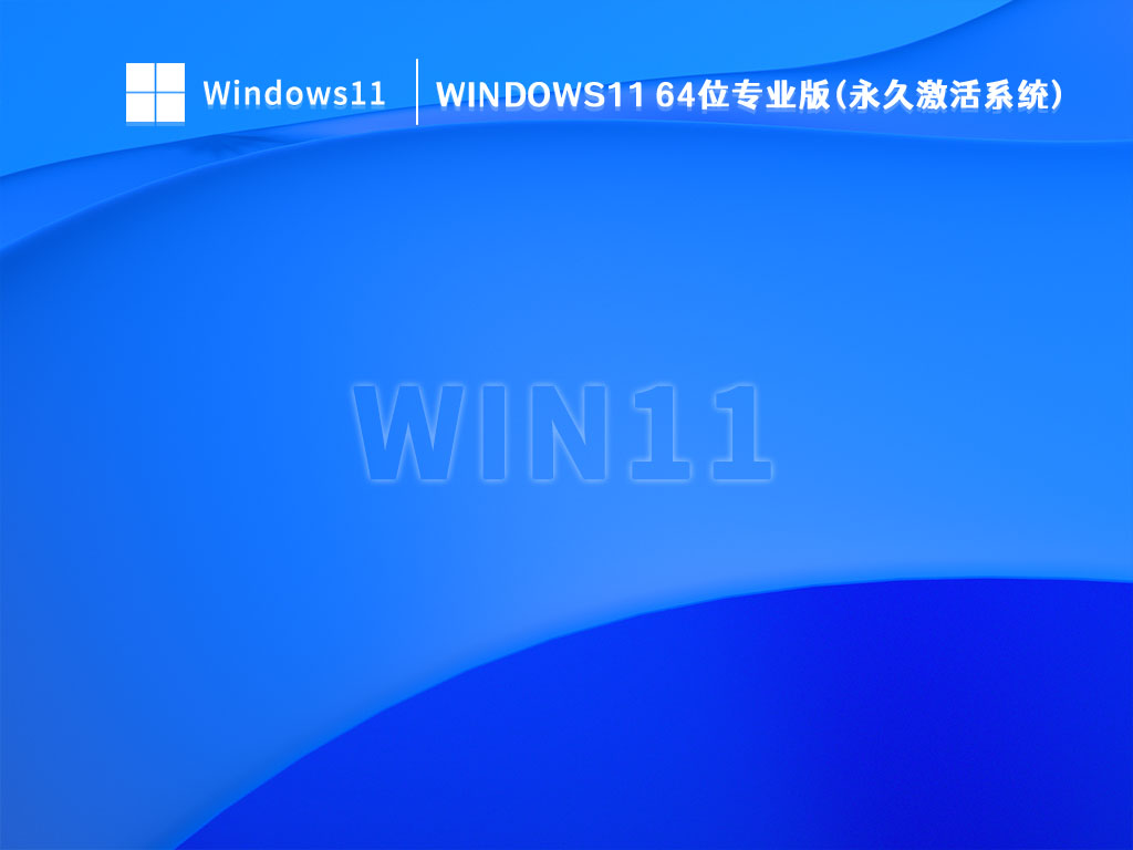 Windows11 64位专业版(永久激活系统) 