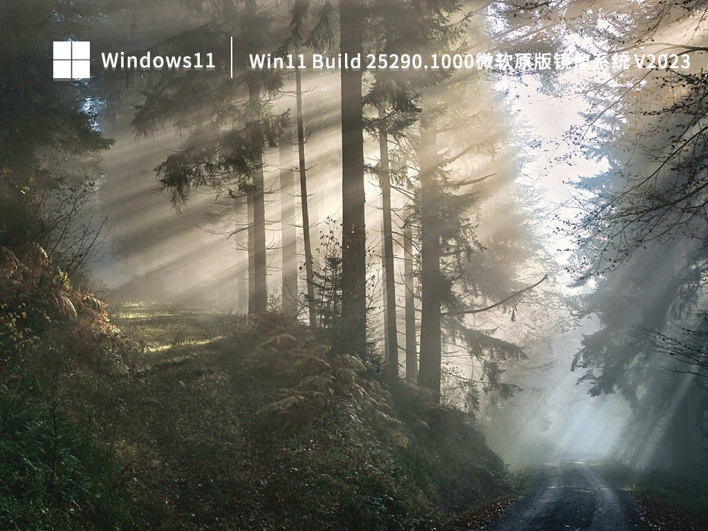 Win11 Build 25290.1000微软原版镜像系统 