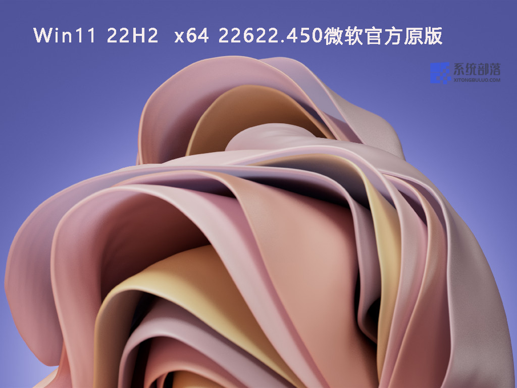 Win11 22H2  x64 22622.450微软原版系统 