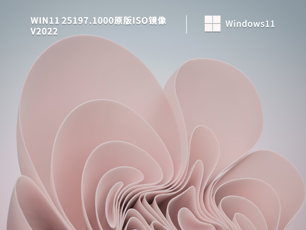 Win11 25197.1000原版iso镜像 