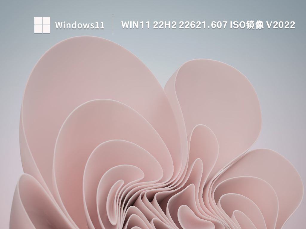 Win11 22H2 22621.607 ISO镜像 