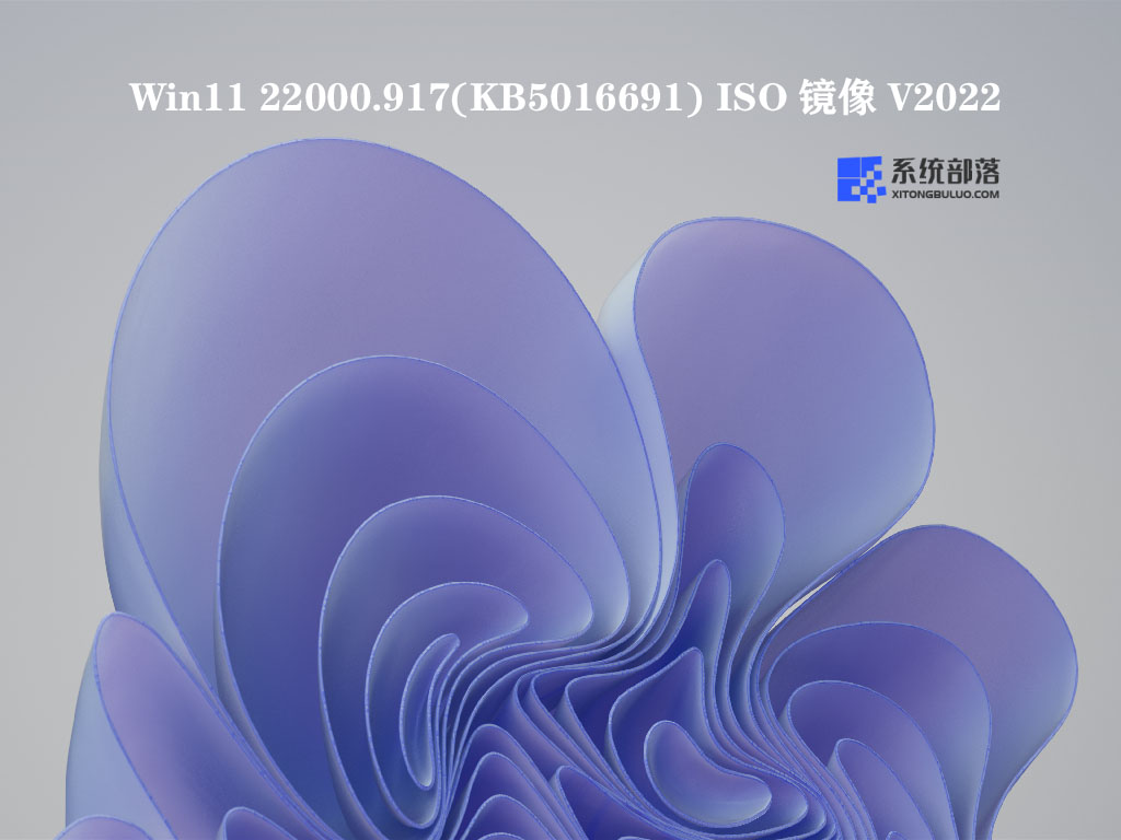 Win11 22000.917(KB5016691) ISO镜像 