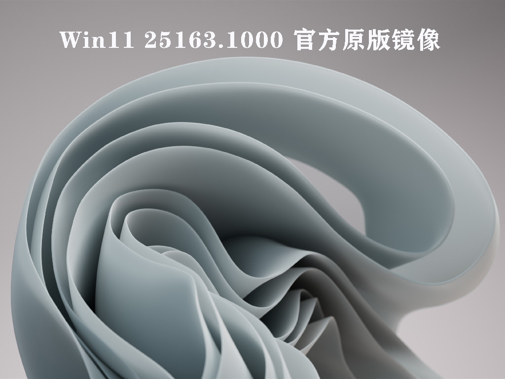 Win11 25163.1000 官方原版镜像 .07