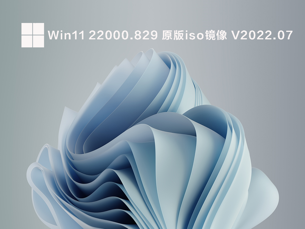 Win11 22000.829 原版iso镜像 .07