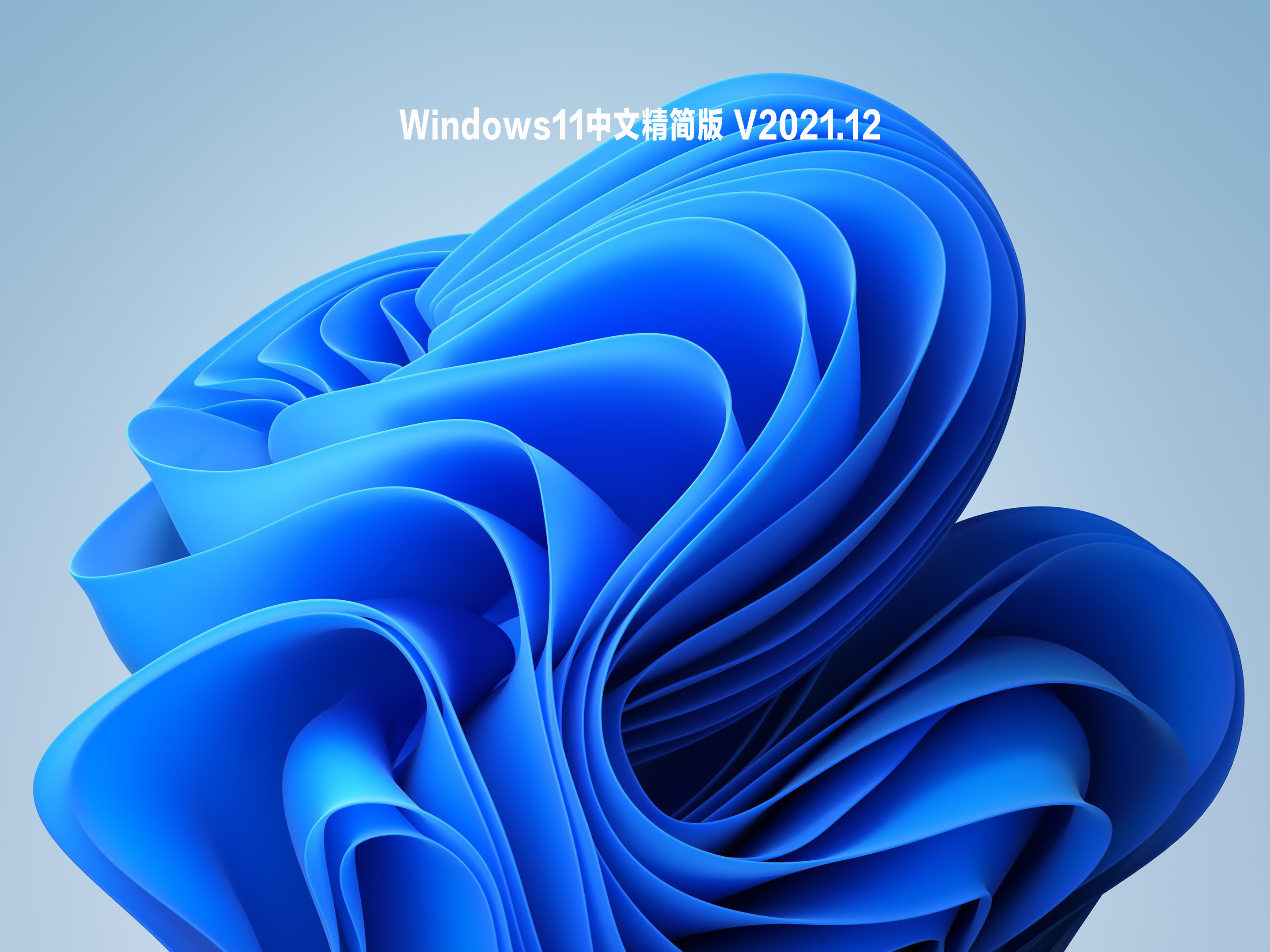 Windows11中文精简版 .12