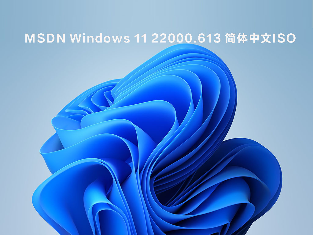 MSDN 4月 Windows 11 22000.613 简体中文ISO .04