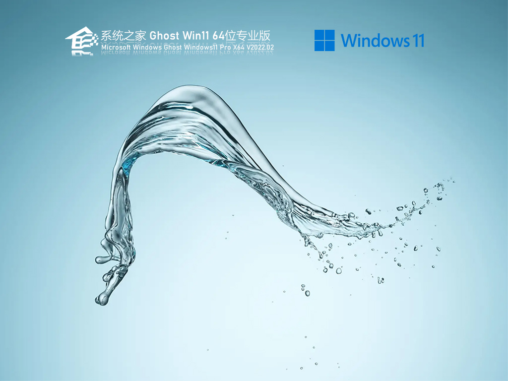 系统之家 Ghost Win11 64位 专业激活版 .02