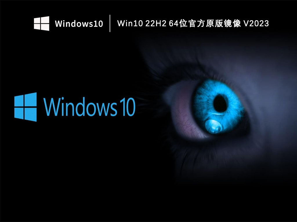 Win10 22H2 64位官方原版镜像 V2023