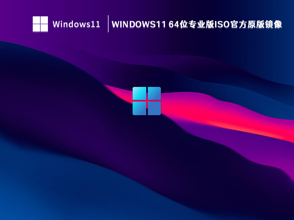 Windows11 64位专业版ISO官方原版镜像 V2023