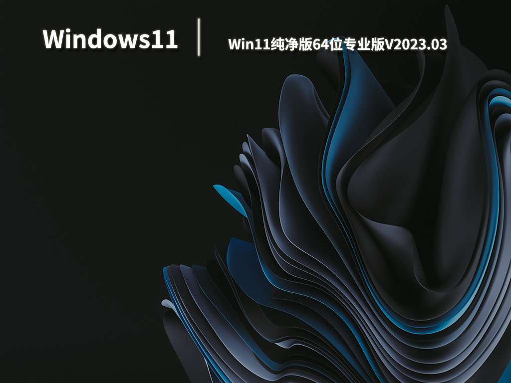 Win11纯净版64位专业版.03