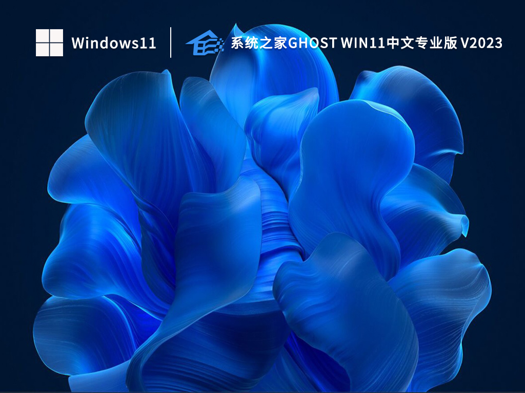 系统之家Ghost Win11中文专业版 V2023