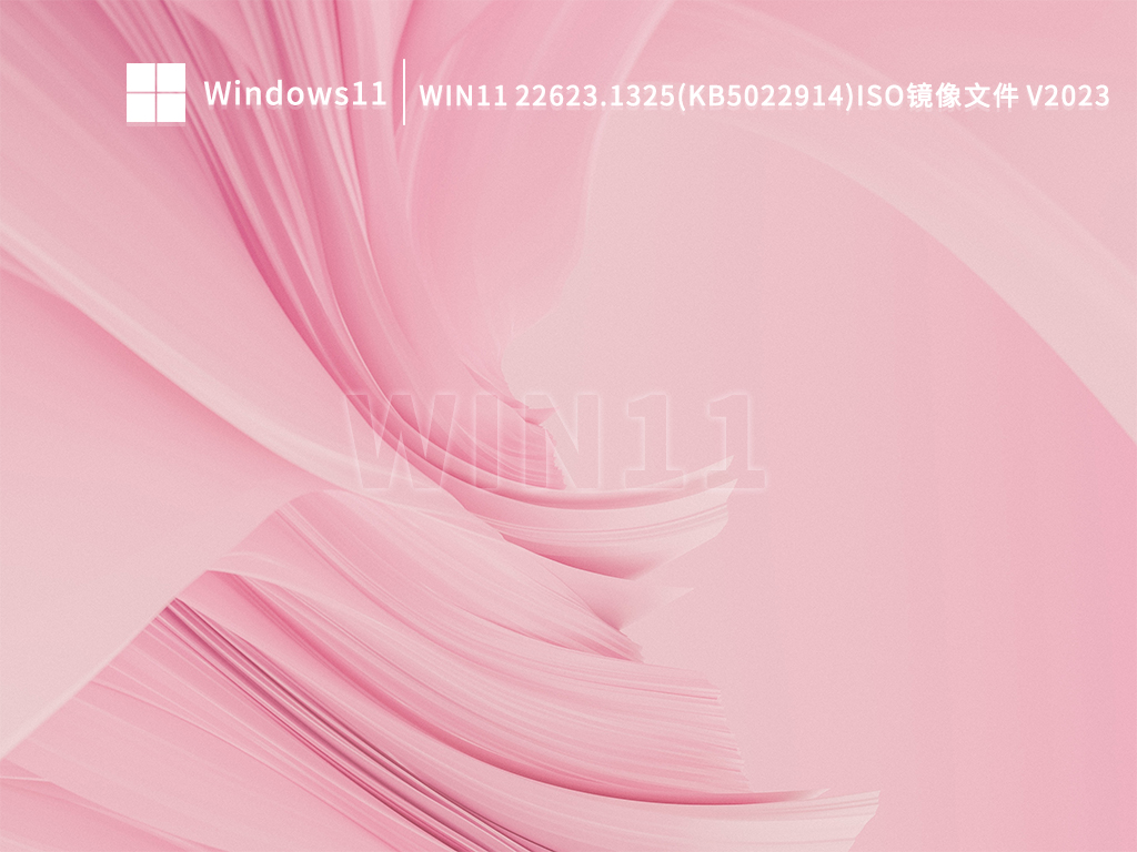 Win11 22623.1325 (KB5022914)微软Beta版镜像 