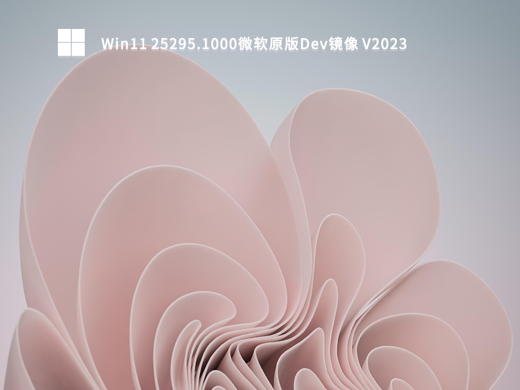 Win11 25295.1000微软原版Dev镜像 