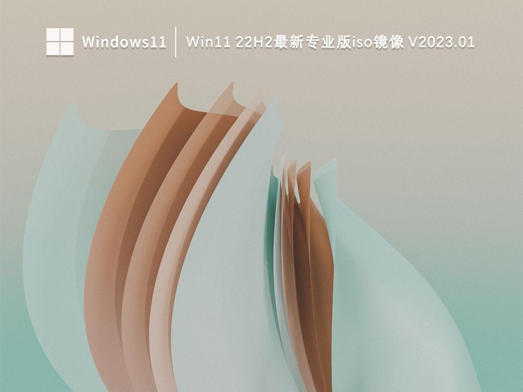 Win11 22H2最新专业版iso镜像 .01