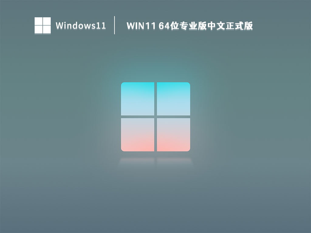 Win11 64位专业版中文正式版 