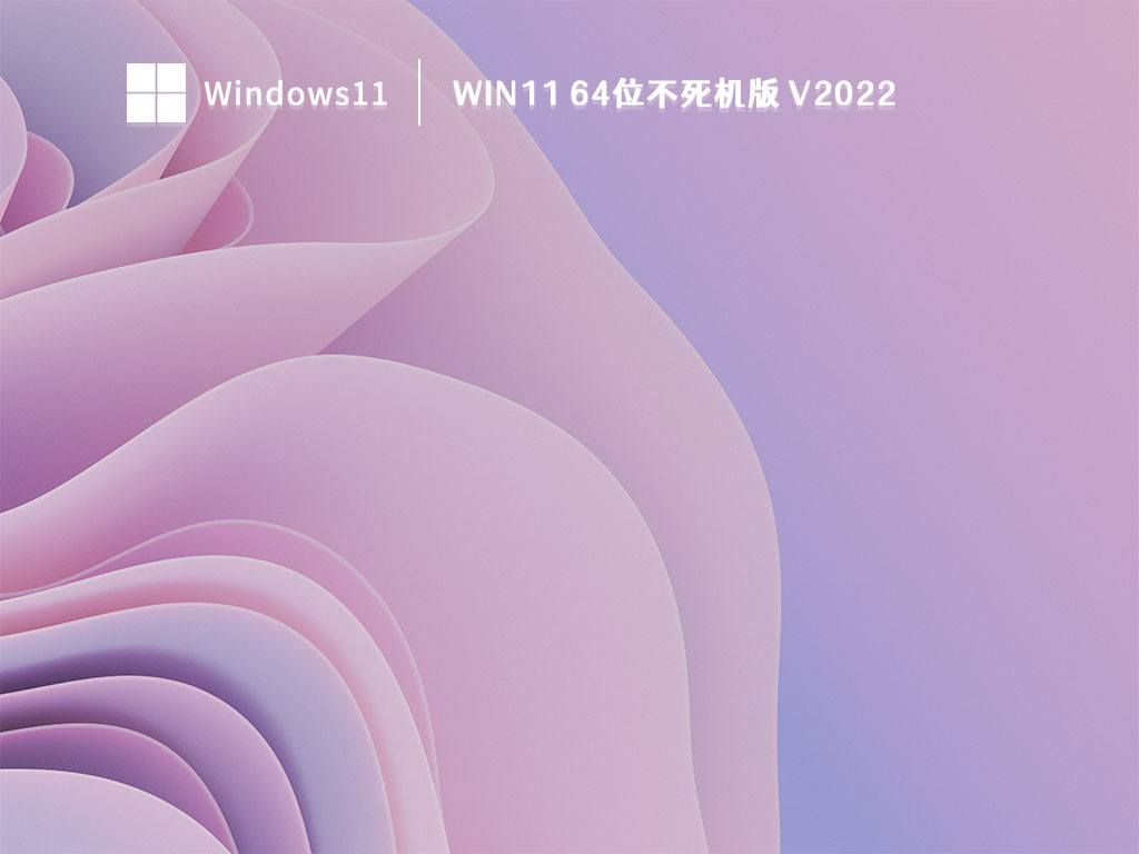Win11 64位不死机版 