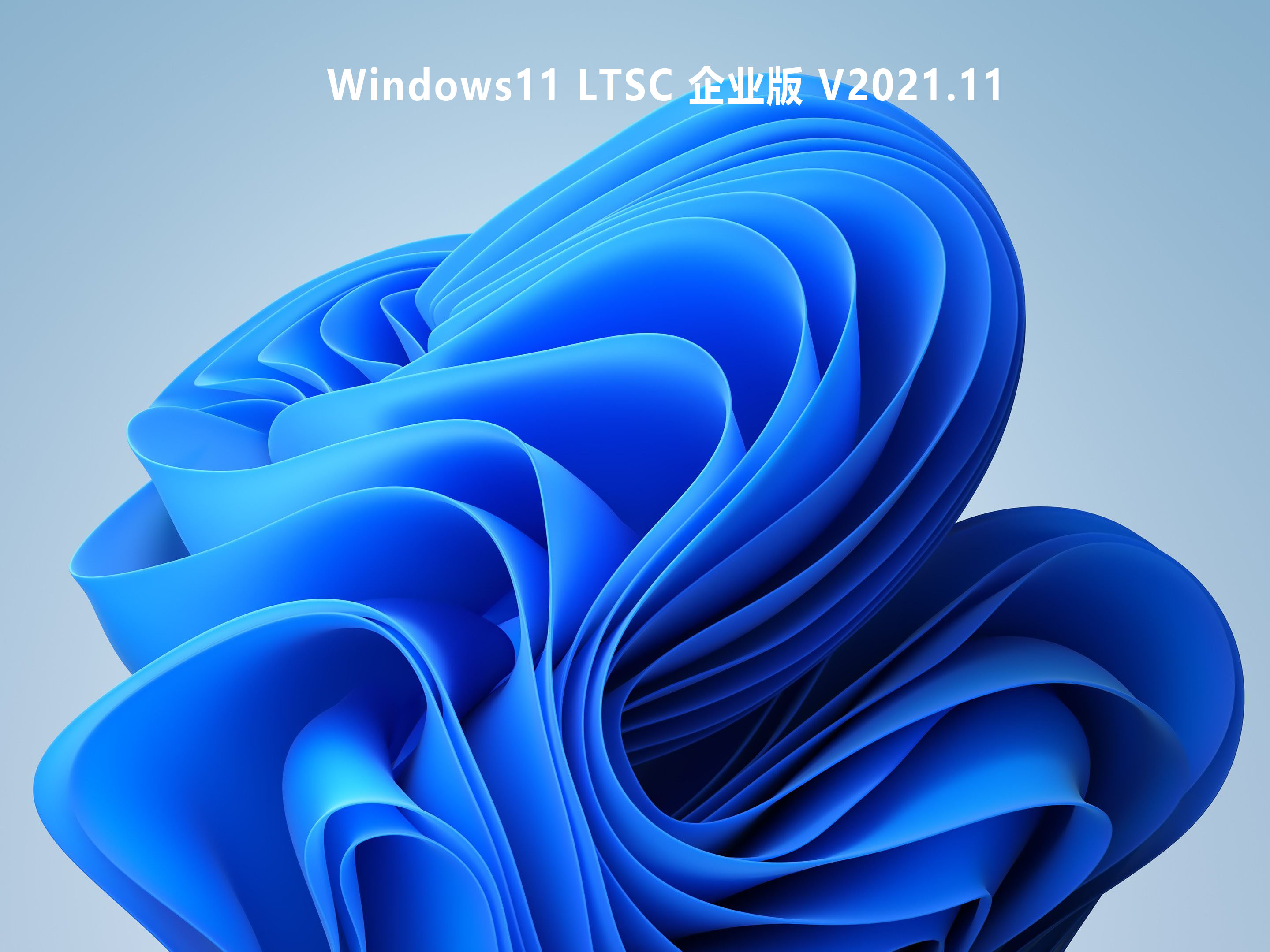 Windows11 LTSC 企业版 .11