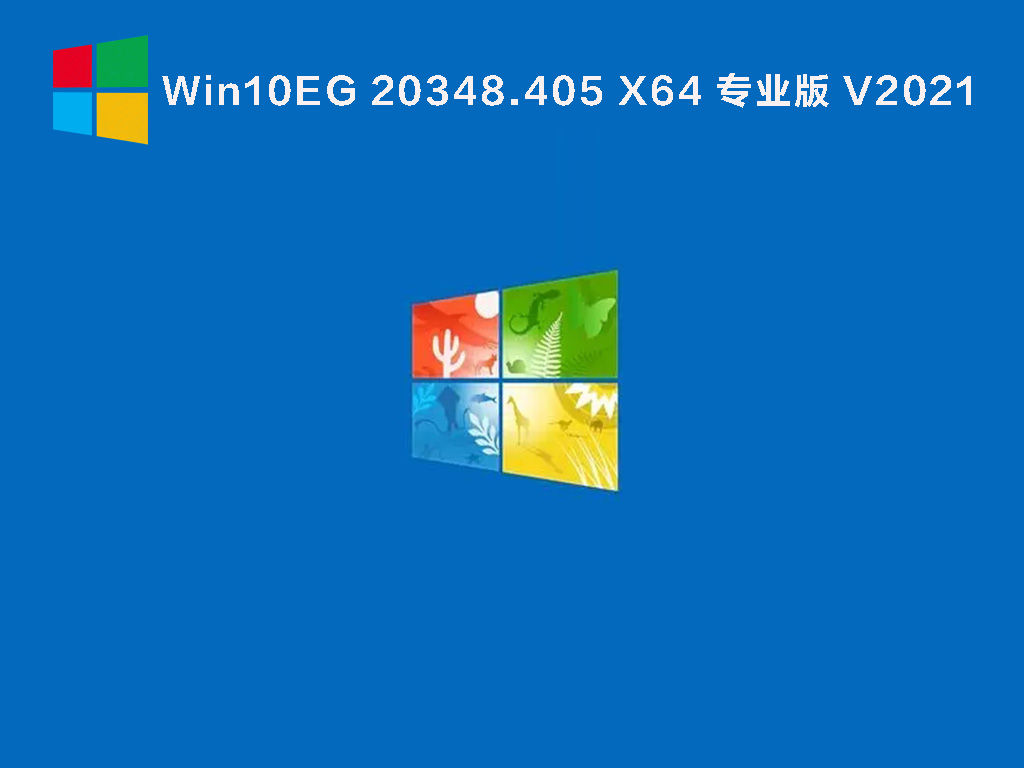 Win10EG 20348.405 X64 专业版 
