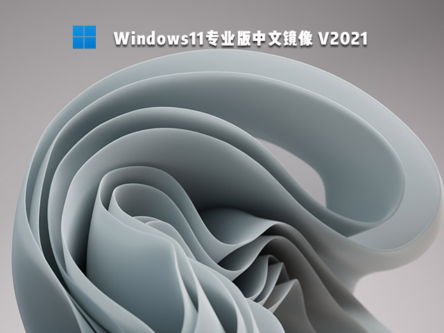 Windows11中文专业版 