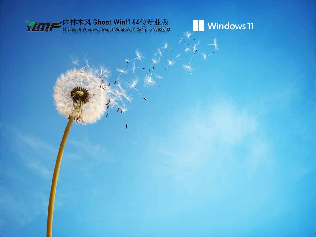 雨林木风 Ghost Win11 64位 免费专业版 .03