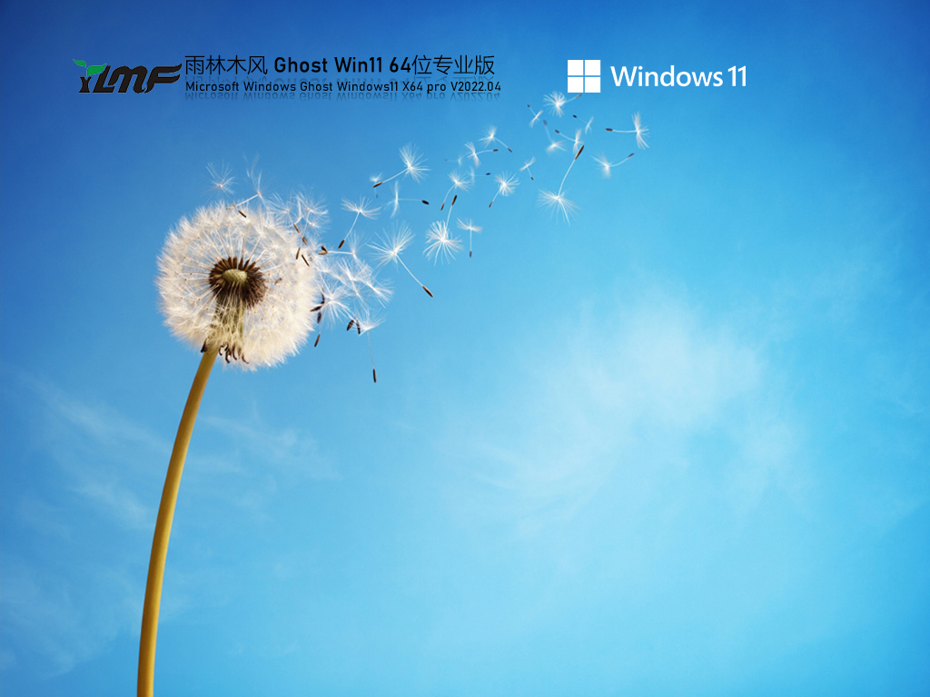 雨林木风Ghost Win11正式装机版 .04