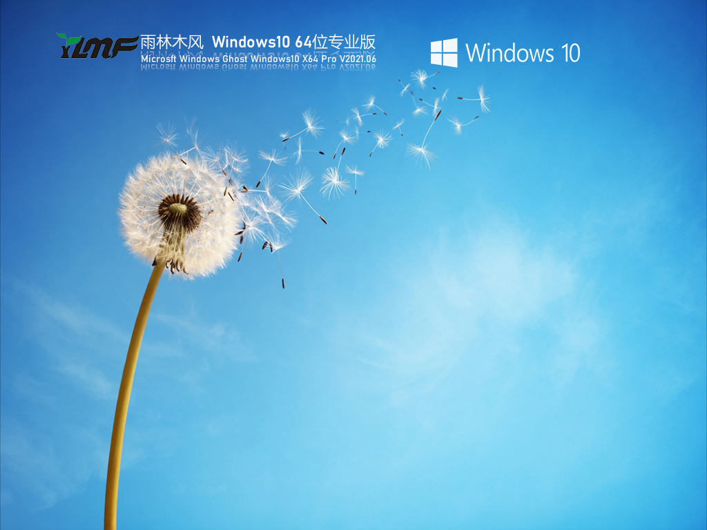 雨林木风Win10 21H1 64位专业版 .06
